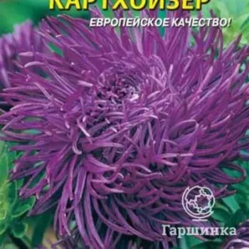 Семена Астра Картхойзер 0,2 гр Плазменные семена