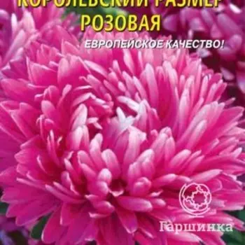 Семена Астра Королевский размер, РОЗОВАЯ 0,1 гр Плазменные семена