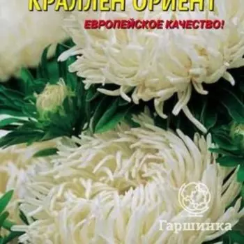 Семена Астра Краллен Ориент 0,3 гр Плазменные семена