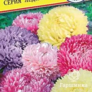 Семена Астра "Леди Корал" Смесь всех цветов 0,1 гр, Престиж