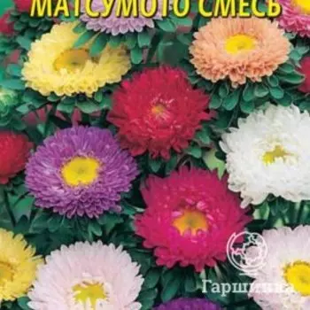 Семена Астра Матсумото, смесь 0,2 гр Плазменные семена