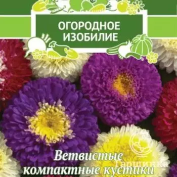 Семена Астра помпонная Сентябрьский букет 0,3, Поиск