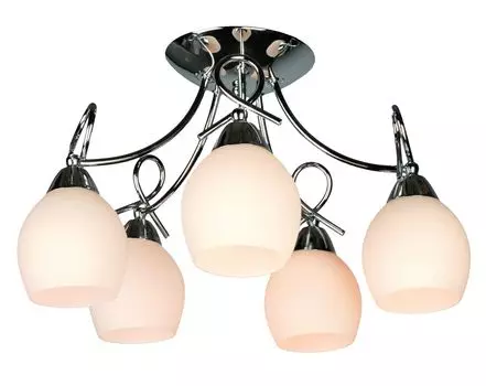 Потолочная люстра Omnilux Baronnies OML-38207-05