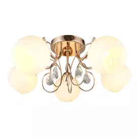 Потолочная люстра Omnilux Martello OML-25207-05