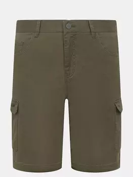 Шорты Ritter Jeans
