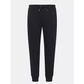 Спортивные брюки Armani Exchange