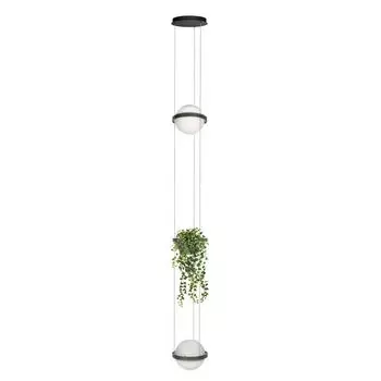 Подвесной светильник Loft IT Jardin 10121/2P Dark grey