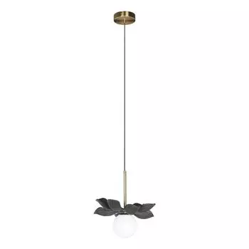 Подвесной светильник Loft IT Monro 10213/B Black