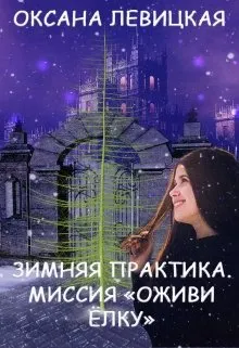 Зимняя практика. Миссия "Оживи ёлку".