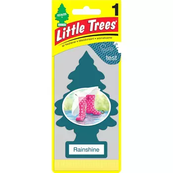 Ароматизатор CAR FRESHNER Весенний дождь (art. U1P-10249-RUSS)