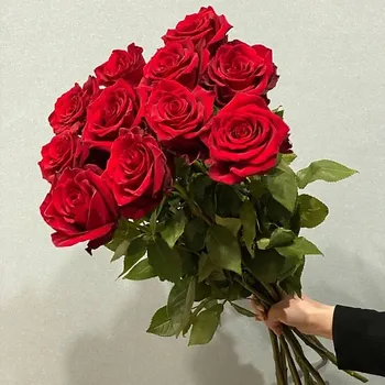 АЗАЛИЯ FLOWER PUB Роза красная Эквадор 70 сантиметров,11 штук