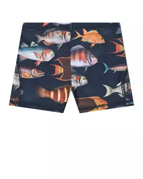 Плавки-шорты Norton Art Of Fish Molo