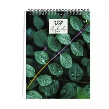 Скетчбук Paper Art Sketchbook Микромир, 60 листов, нелинованный, А4