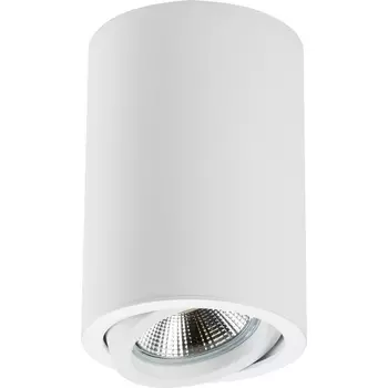 Накладной светильник Lightstar RULLO 214406