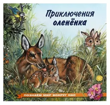 Познаём мир вокруг нас. приключения оленёнка, 16 стр.