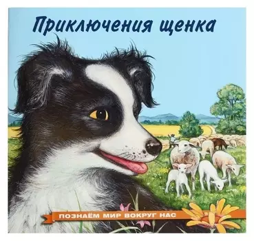 Познаём мир вокруг нас. приключения щенка, 16 стр.