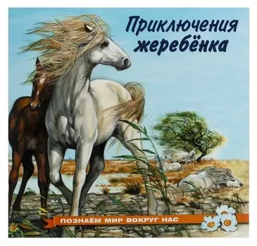 Познаём мир вокруг нас. приключения жеребёнка, 16 стр.