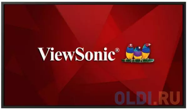 Информационная панель ViewSonic CDE5520 55" LED 4K Ultra HD
