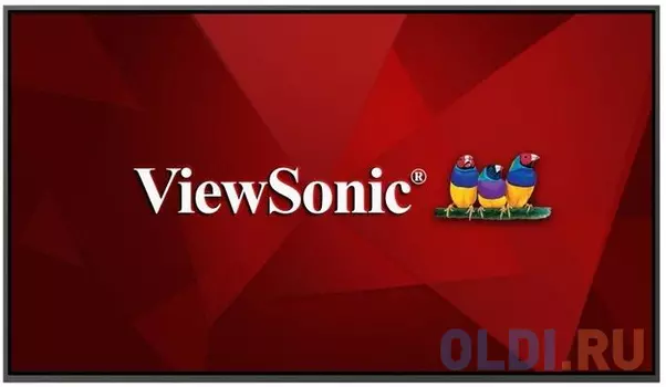 Информационная панель ViewSonic CDE5520-W 55" 4K Ultra HD