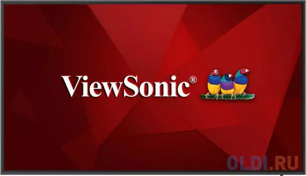 Информационная панель ViewSonic CDE8620-W 86" 4K Ultra HD