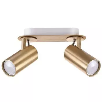 Спот Odeon Light Kiko 3876/2C золотистый GU10 2х50W 220V