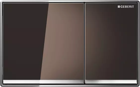 Кнопка смыва Geberit Omega 60 115.081.SQ.1 умбра
