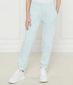 Штаны спортивные Guess Regular Fit, голубой