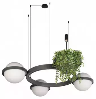 Подвесная люстра Loft it Jardin 10121/3 Dark grey