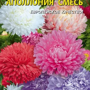 Семена Астра Апполония смесь 0,2 гр Плазменные семена