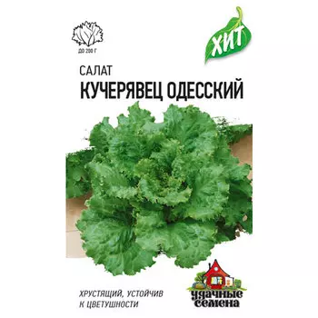 Салат Гавриш Кучерявец Одесский 0,5 г хрустящий ХИТ х3