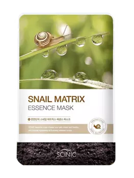 Тканевая маска с муцином улитки Scinic Snail Matrix Essense Mask