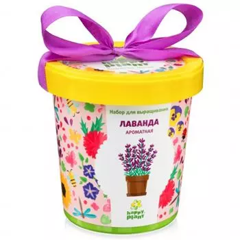 Набор для выращивания: Лаванда ароматная