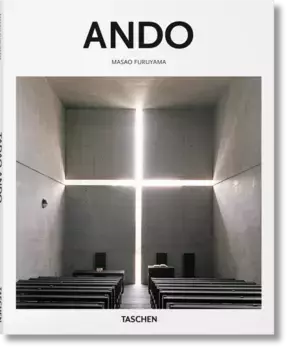 Книга Basic Art "Ando"