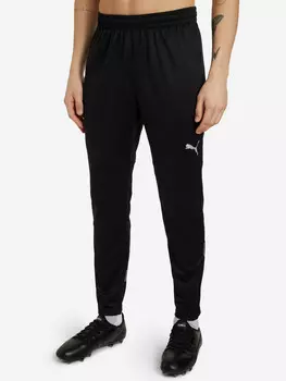 Брюки мужские PUMA teamFINAL Training Pants, Мультицвет