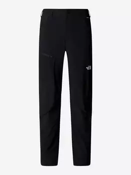 Брюки мужские The North Face Speedlight, Черный