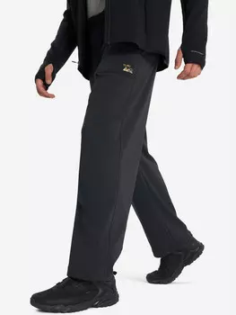 Брюки софтшелл мужские Columbia High Cascades Softshell Pant, Черный