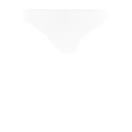 Трусы ERMANNO SCERVINO