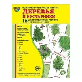 Демонстрационные картинки Деревья и кустарники 16 карточек с текстом Учебно-методическое пособие с комплектом демонстрационного материала 173х220 мм познавательное и речевое развитие