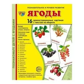 Демонстрационные картинки Ягоды 16 карточек с текстом Учебно-методическое пособие с комплектом демонстрационного материала