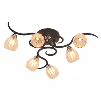 Потолочная люстра ID lamp Antioch 213/6PF-Blackchrome
