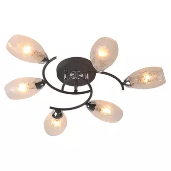 Потолочная люстра ID lamp Arvada 215/6PF-Blackchrome