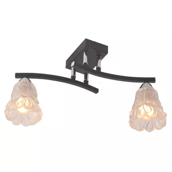 Потолочная люстра ID lamp Atlanta 217/2PF-Blackchrome