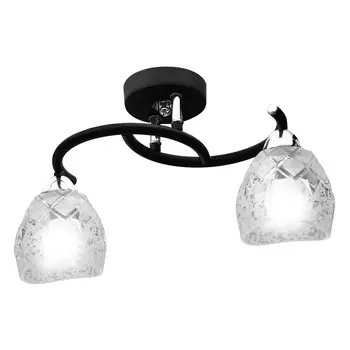 Потолочная люстра ID lamp Clearwater 381/2PF-Blackchrome