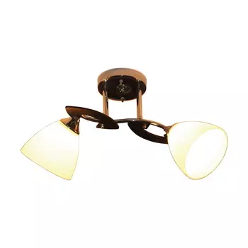 Потолочная люстра ID lamp Falio 279/2PF-Blackchrome