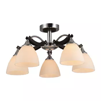 Потолочная люстра ID lamp Fayora 287/5PF-Blackchrome