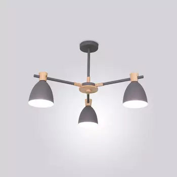 Потолочная люстра ImperiumLoft Folke01 101598-26