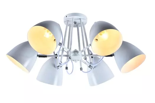 Потолочная люстра J-light Aim 2356/6C