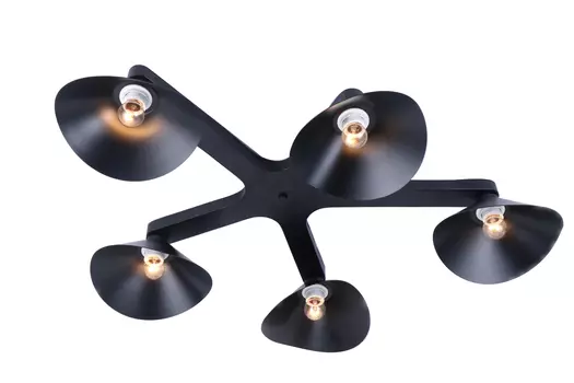 Потолочная люстра J-light Colin 1745/5C