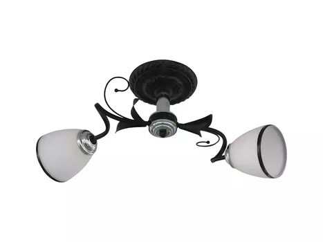 Потолочная люстра J-light Gera 1520/2C