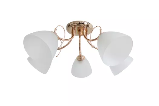 Потолочная люстра J-light Goldy 1501/5C